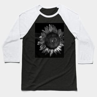 Sunflower in black and white Baseball T-Shirt